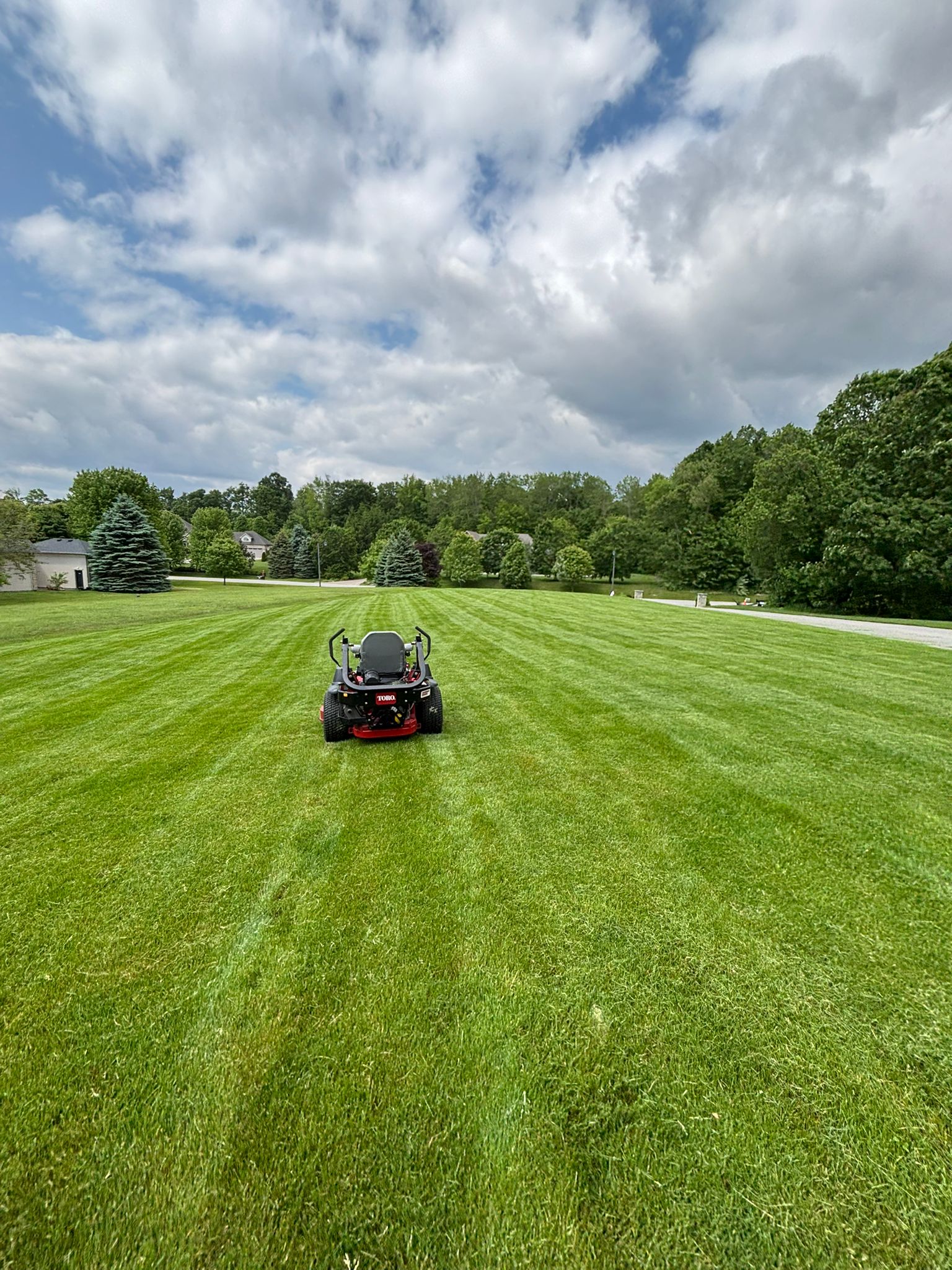 Healthy lawn and precision cuts