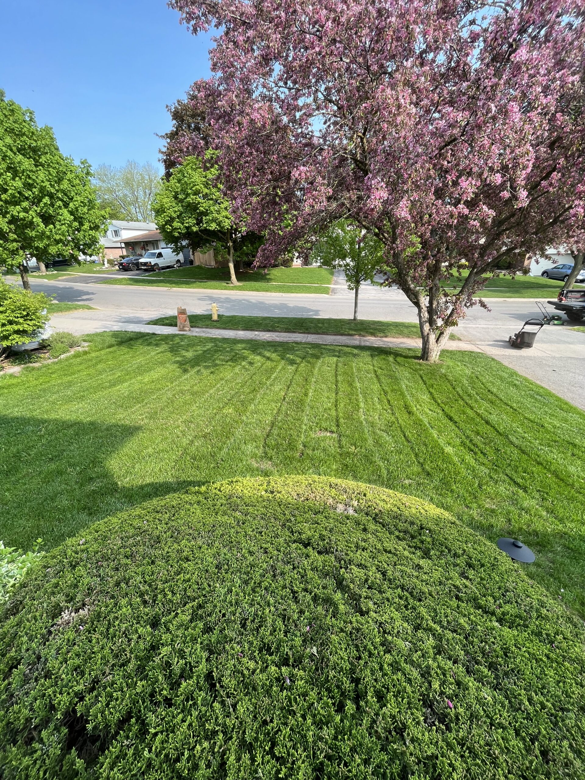 Property maintenance Markham