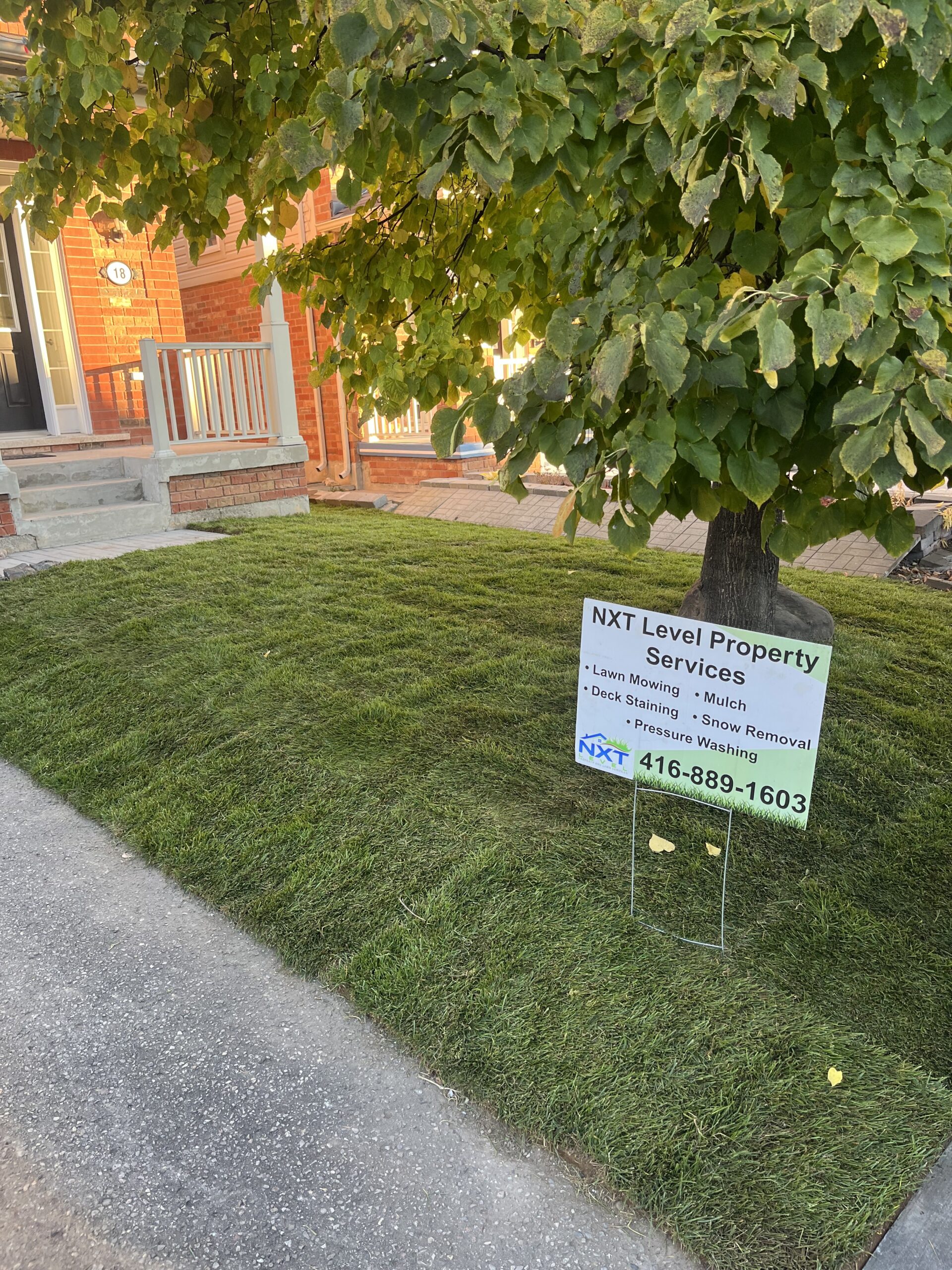 Yard junk removal Markham