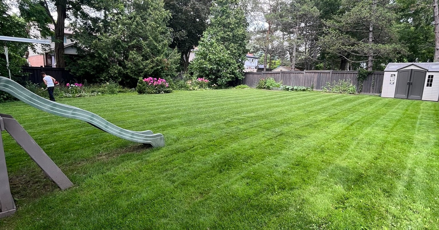 Lawn care Markham